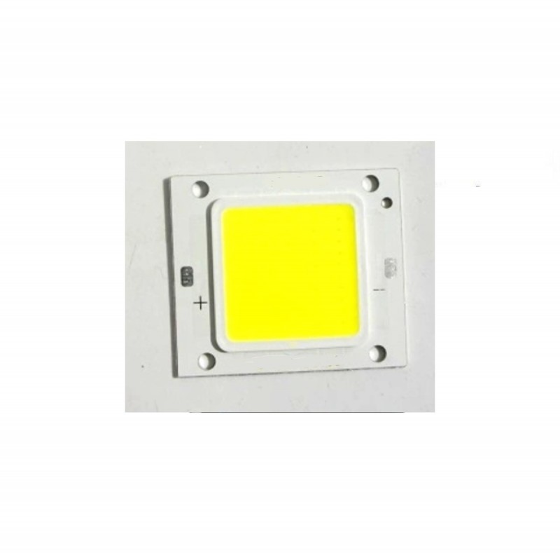 LED 50W(TB)(40X40)